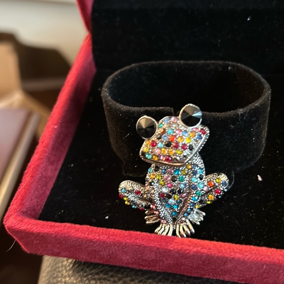 Jewelry - Brand New Crystal Glass Frog Brroch